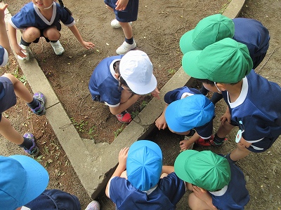 みのり台公園へお散歩