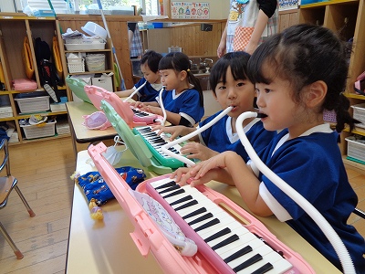 メロディオンの活動