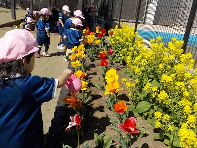 花壇の水やりをしました