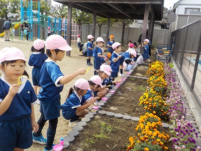 シャボン玉遊び