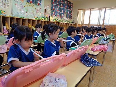 メロディオンの活動